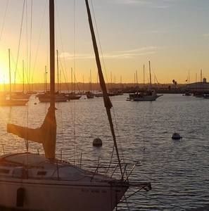 Meet your Posher, Steve